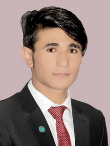 Nabi Mahir